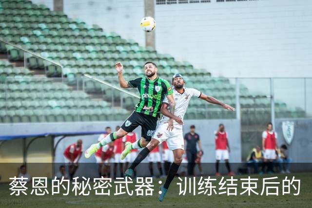 蔡恩的秘密武器：训练结束后的“武林秘籍
